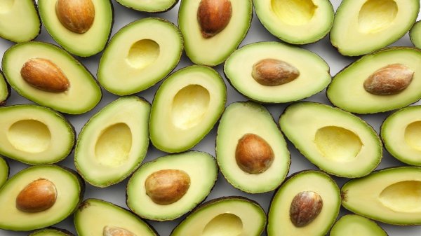 авокадо сорт