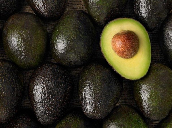 авокадо сорт