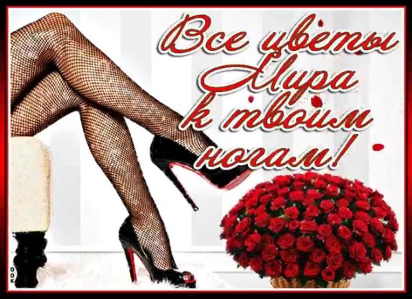 к твоим ногам