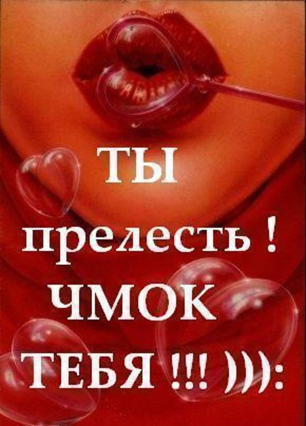 чмоки чмоки