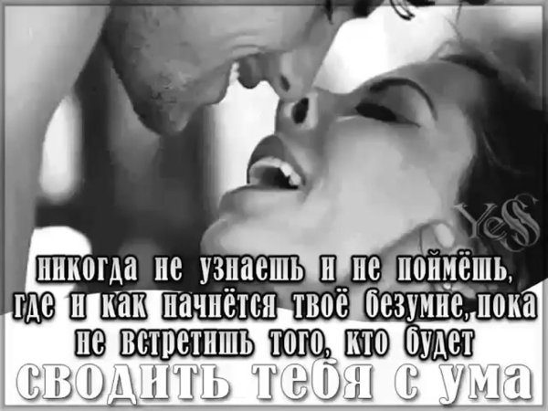 любовь двух сумасшедших никогда