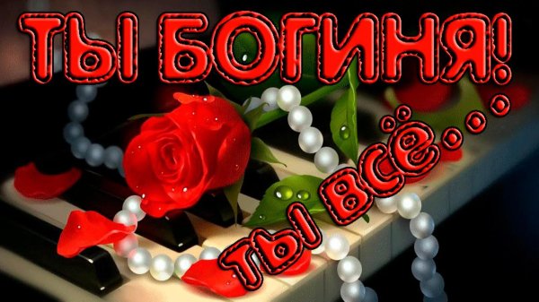 удачи во всем