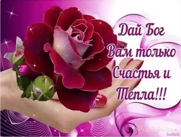 дай вам бог здоровья