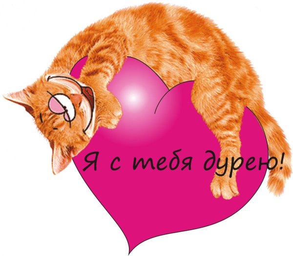 кот валентинка