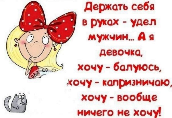 веселые высказывания