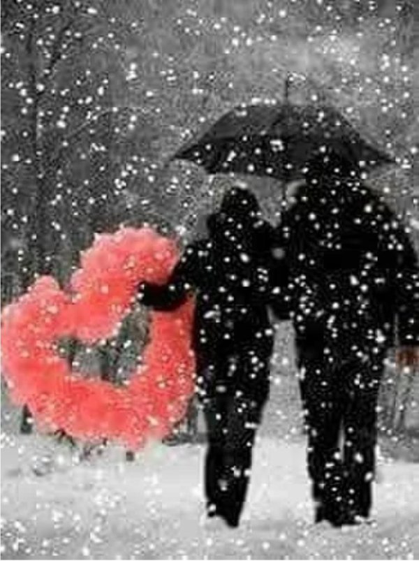 влюбленные зимой