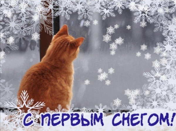 с первым снегом