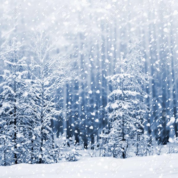 фон зимнего леса