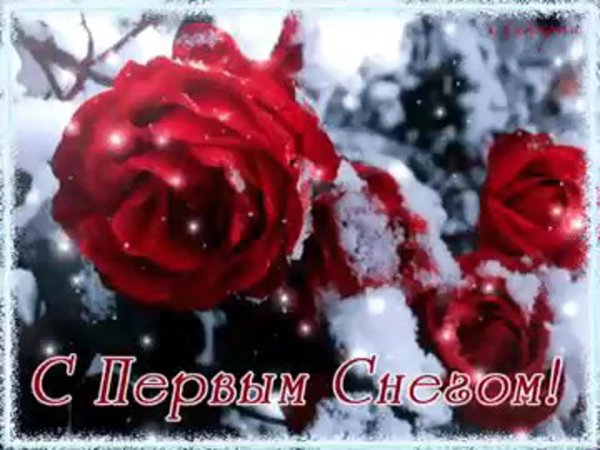 первый снег открытки поздравления