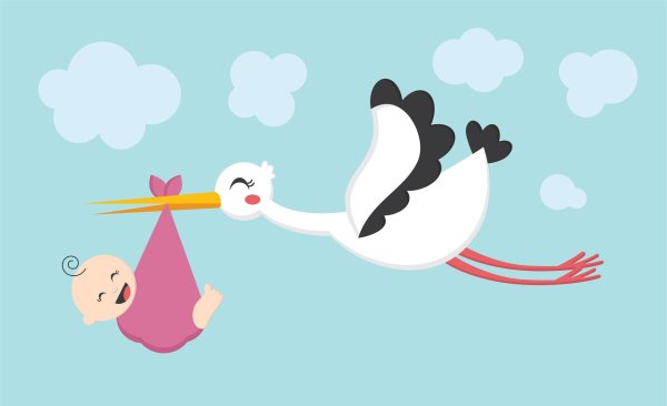 аист несет ребенка