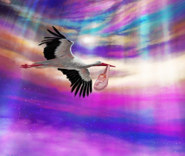 аист для детей