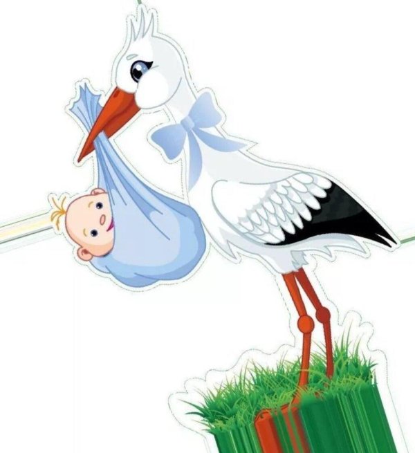 аист для детей