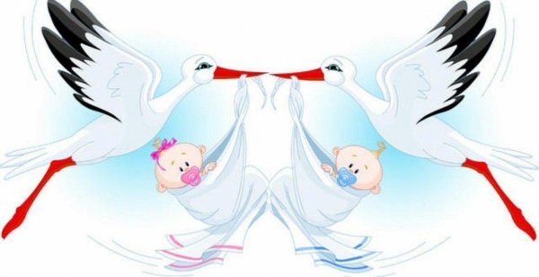 аист с ребёнком