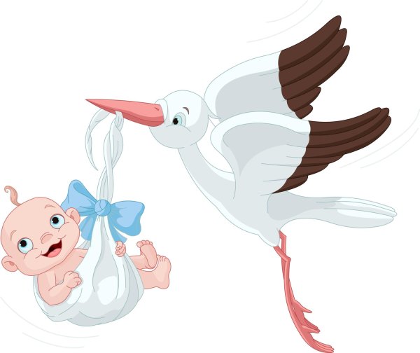 аист несет ребенка