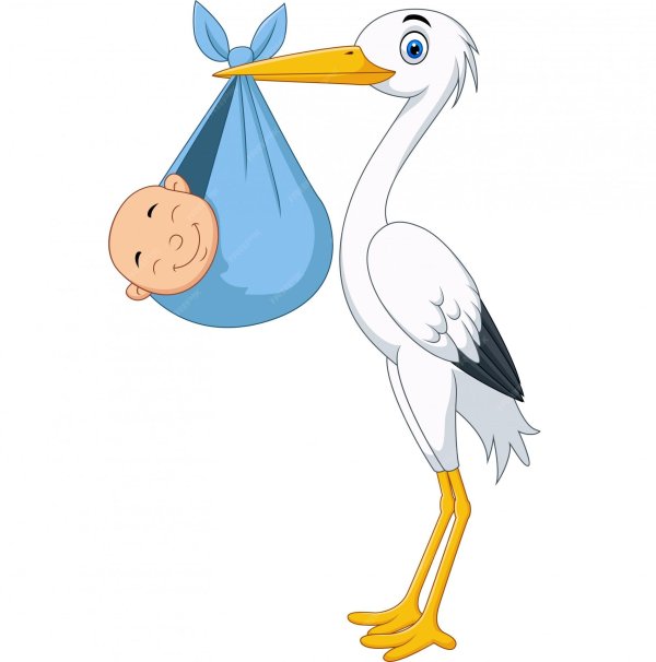 мультяшный аист