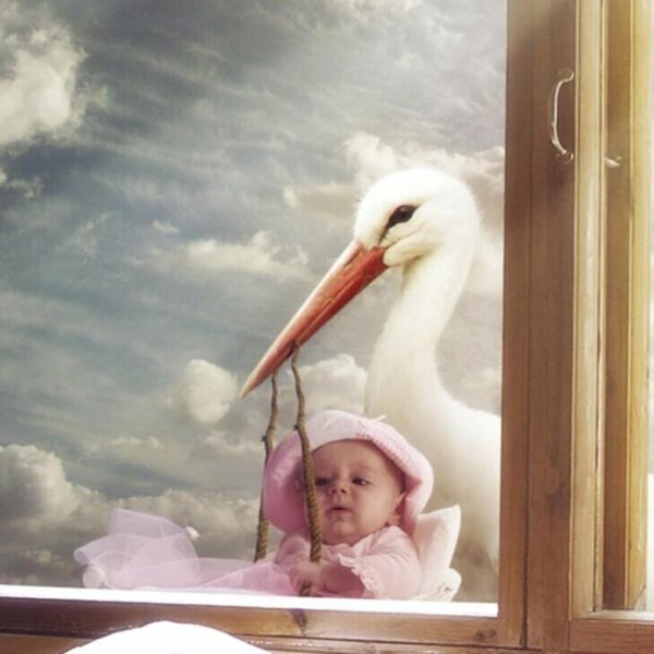 аист который приносит детей