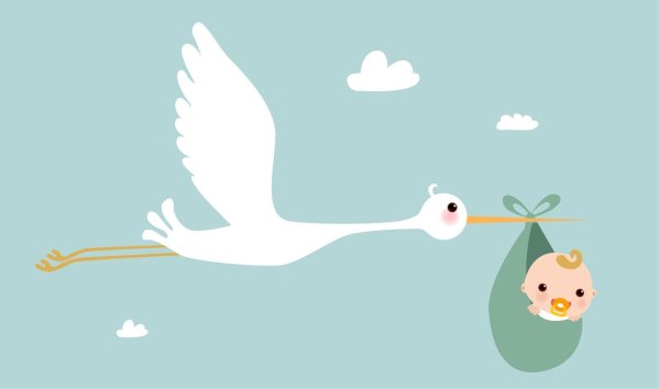 аист несет ребенка