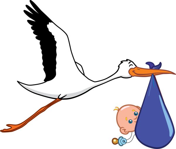 аист несет ребенка