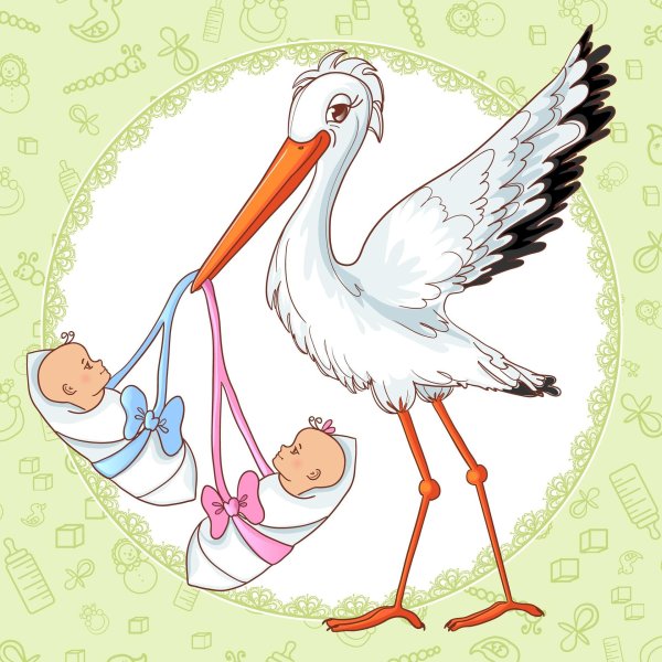 аист с малышом
