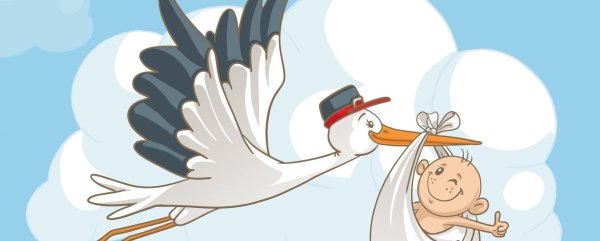 аист несет малыша