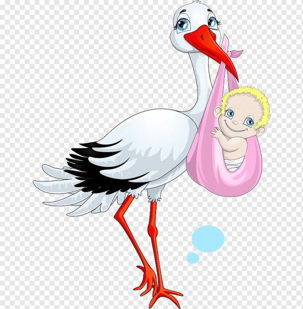 аист для детей