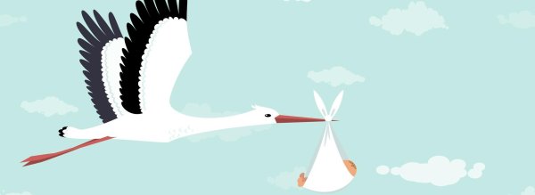 аист несет ребенка