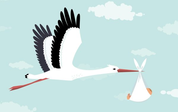 аист несет ребенка