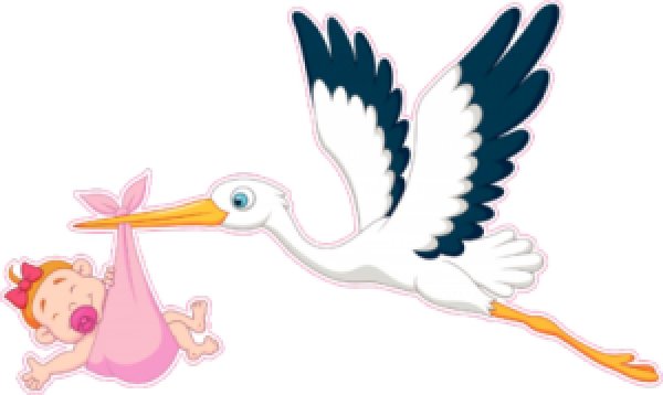 аист принес ребенка