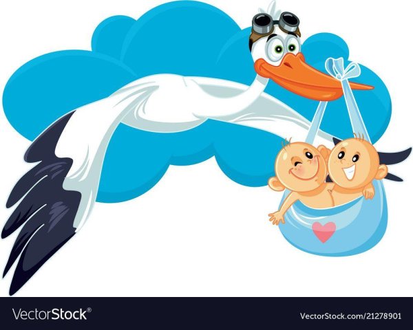 аист несет ребенка