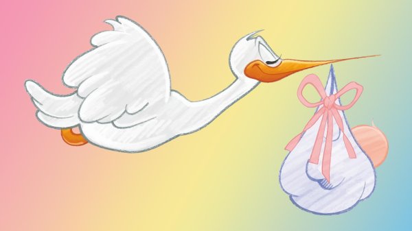 аист несет малыша