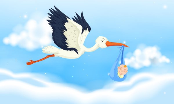 аист принес ребенка