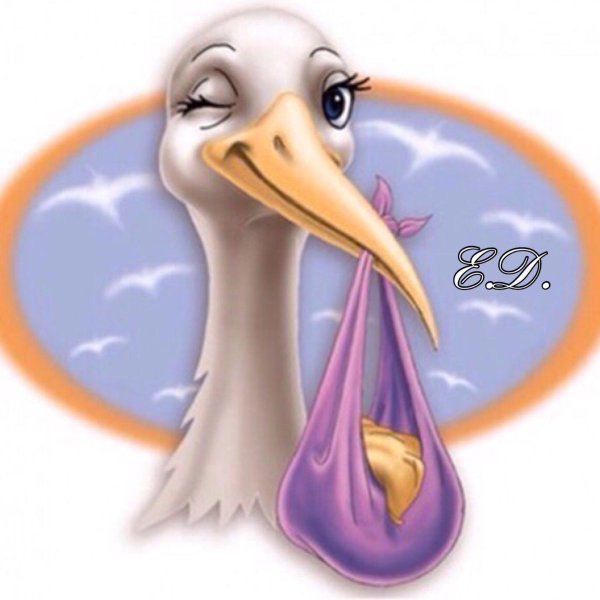 аист скоро буду ждите