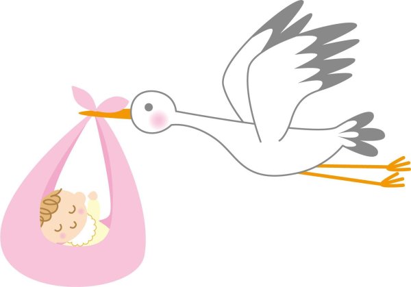 аист несет ребенка