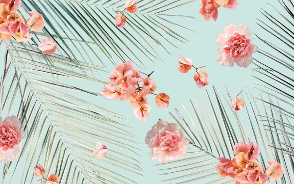 цветочные фоны