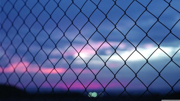 chain link fence