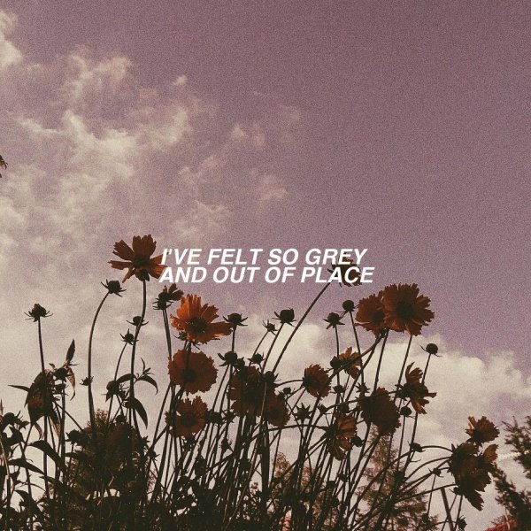 эстетика поле