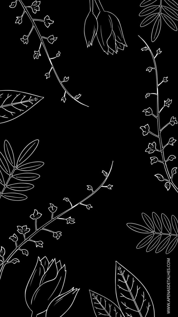 веточка контур