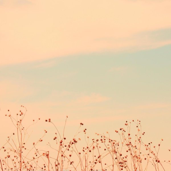 пастельные фоны