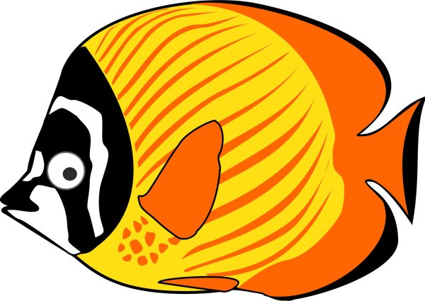 мультяшные рыбки