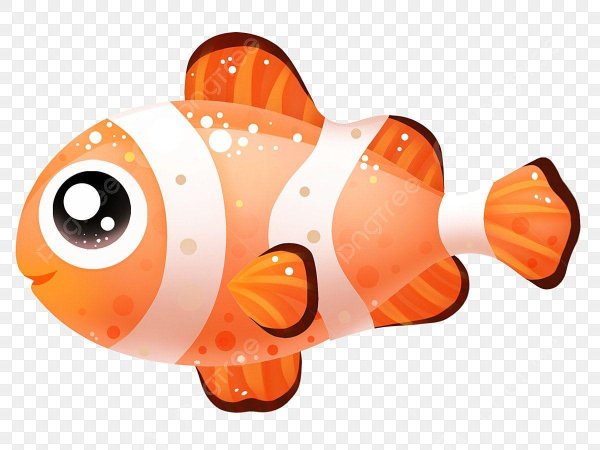 рыба клоун