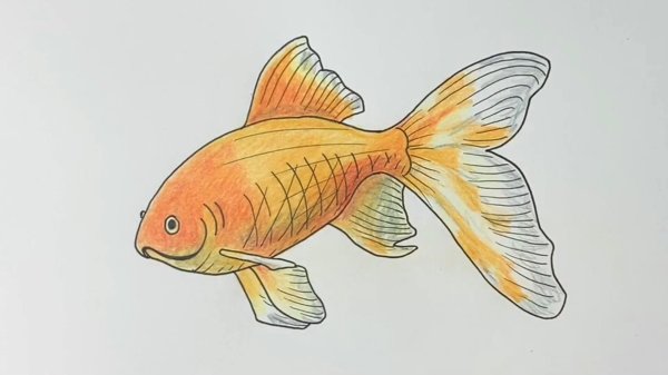 рисовать золотую рыбку