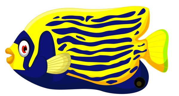 цветная рыба