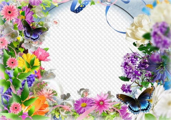 цветок рамка