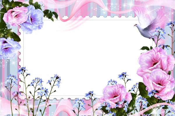 рамочка с цветами