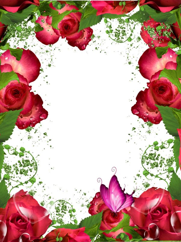 розы рамка