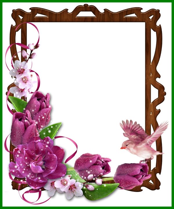 рамочка с цветами