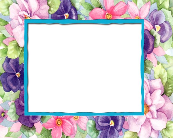 фоторамка с астрами