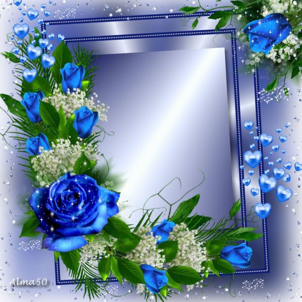 роза голубая