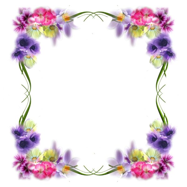 цветок рамка