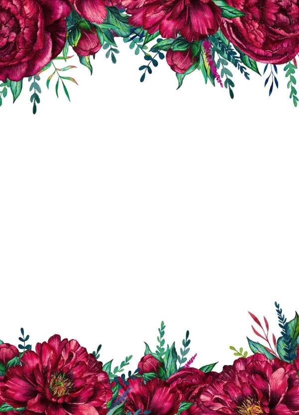 пионы рамка